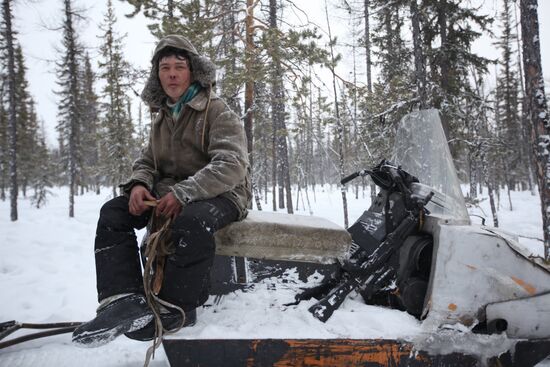 Last nomadic reindeer herders of Sychegir ethnic group