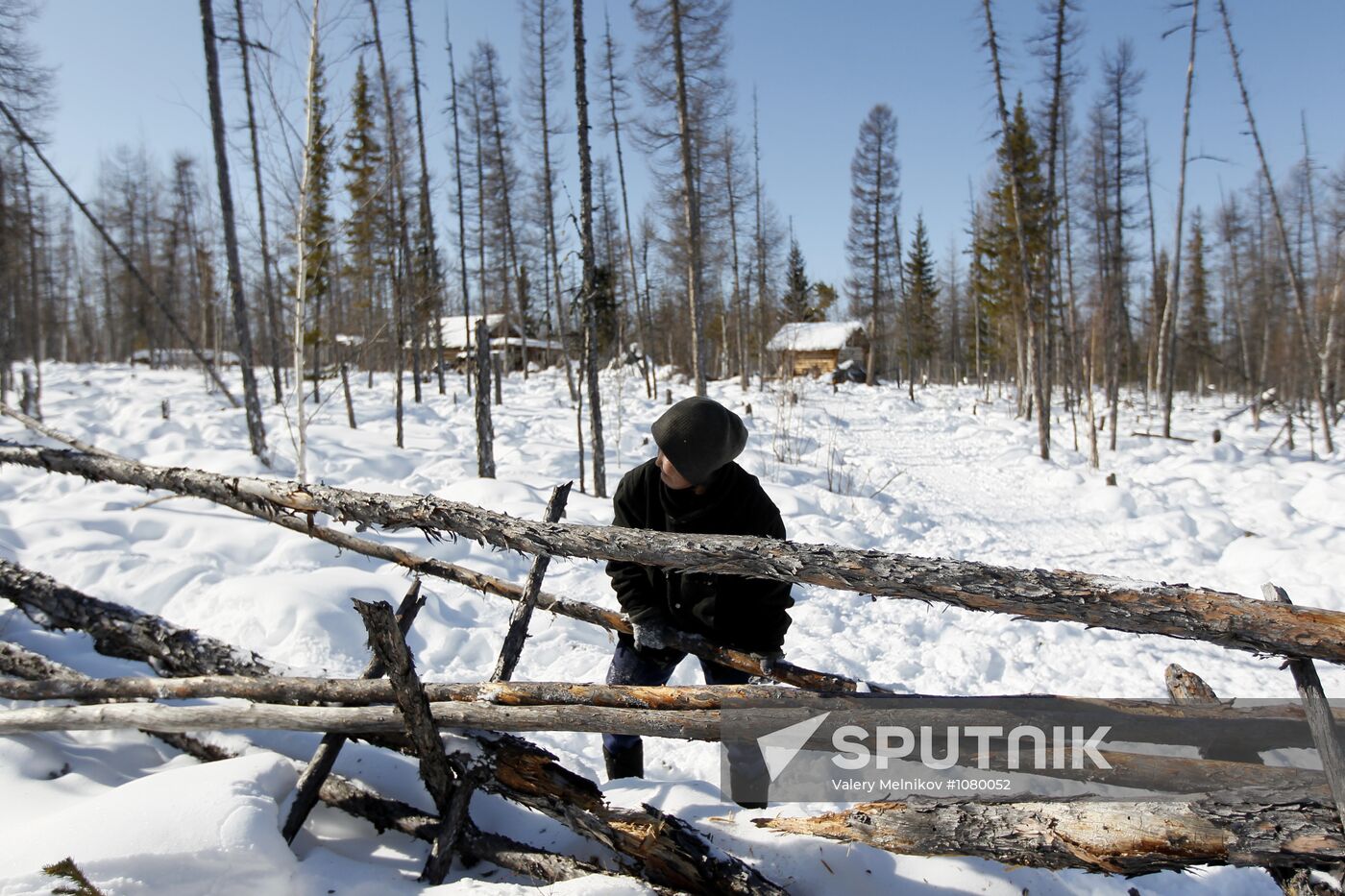 Last nomadic reindeer herders of Sychegir ethnic group