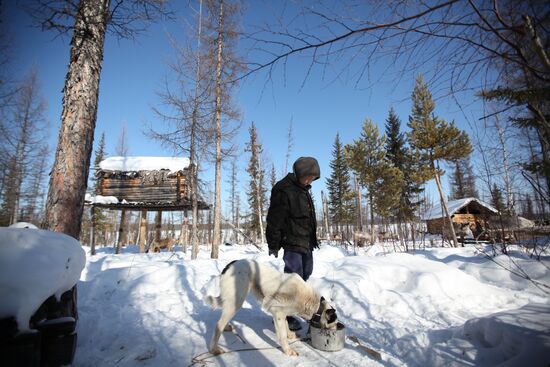 Last nomadic reindeer herders of Sychegir ethnic group