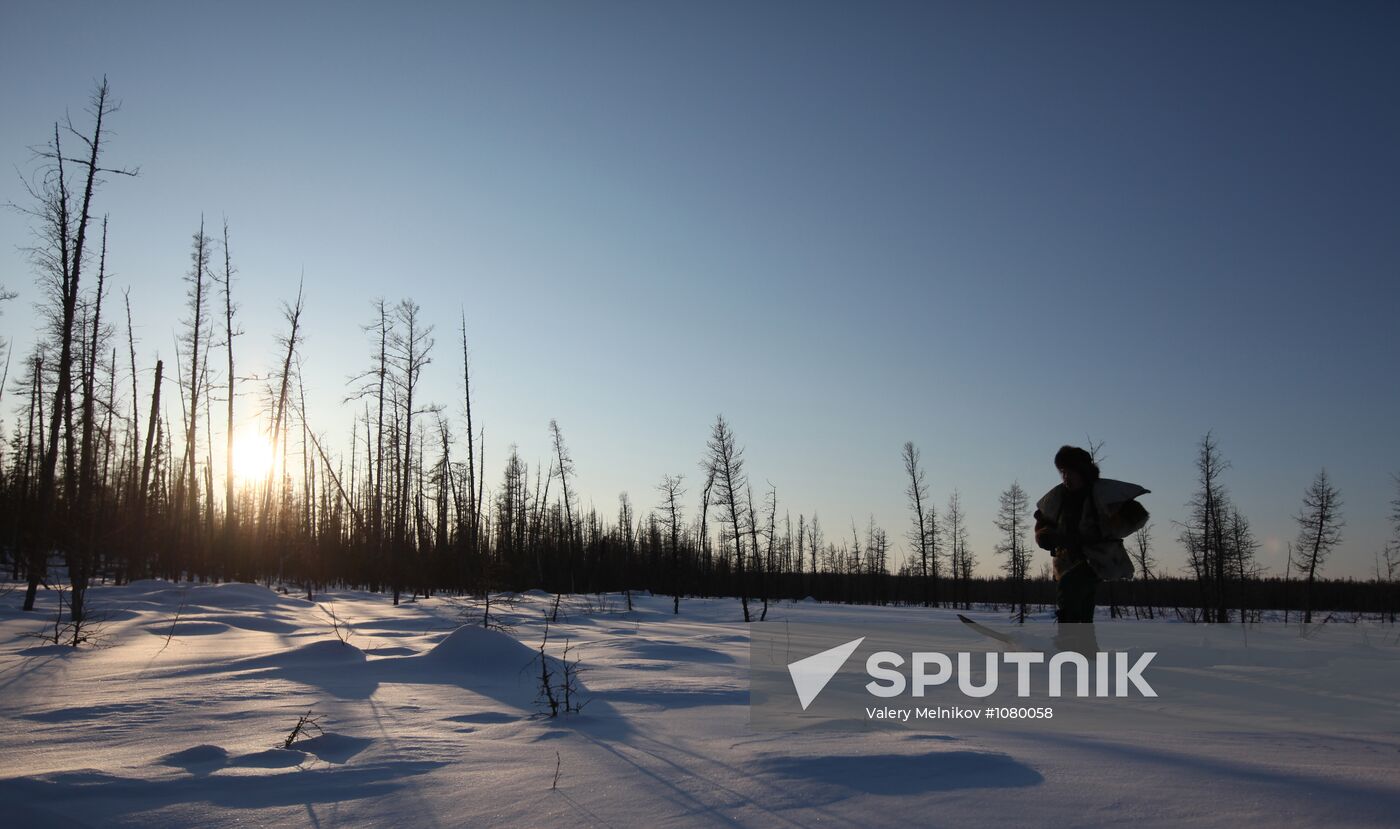 Last nomadic reindeer herders of Sychegir ethnic group