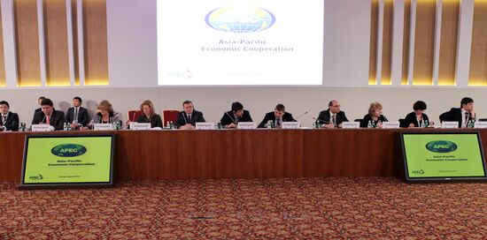 Seminar Modernization of the Treasury Systems in APEC Economies