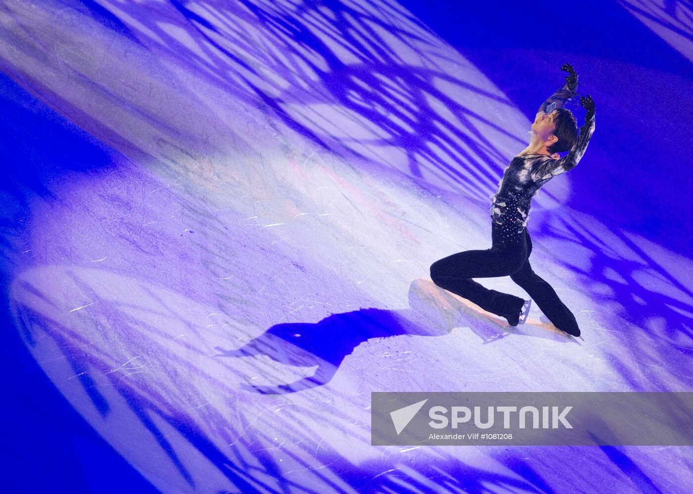 Figure skating World Cup 2012. Demonstration performances