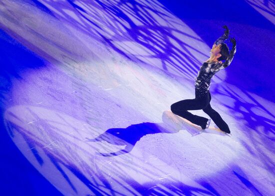 Figure skating World Cup 2012. Demonstration performances