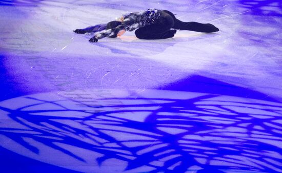 Figure skating World Cup 2012. Demonstration performances