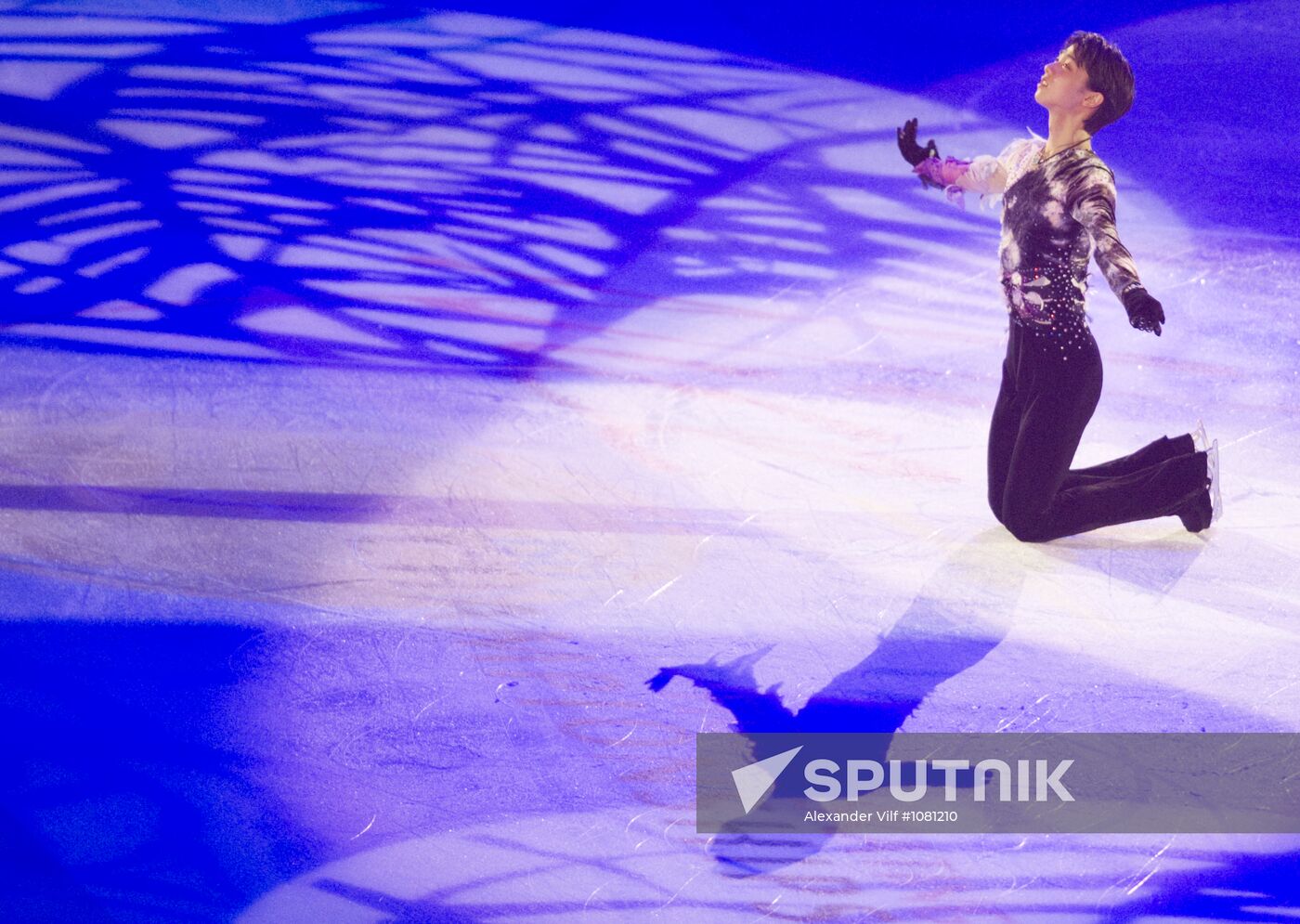 Figure skating World Cup 2012. Demonstration performances