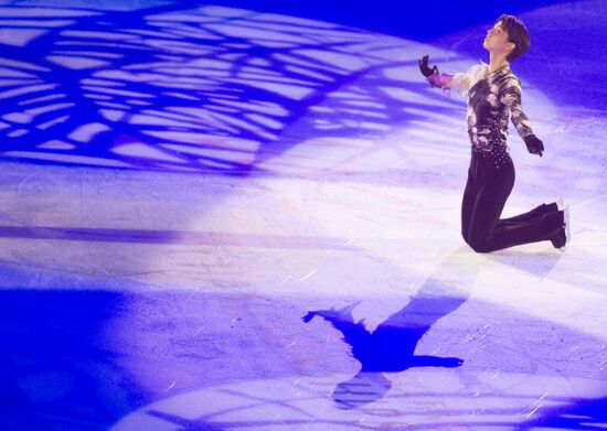 Figure skating World Cup 2012. Demonstration performances