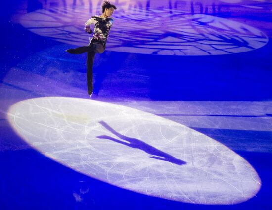 Figure skating World Cup 2012. Demonstration performances