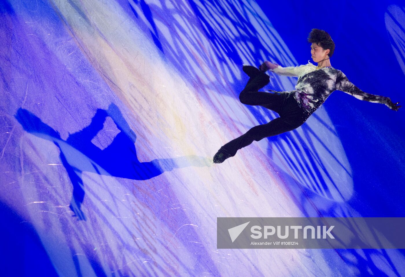 Figure skating World Cup 2012. Demonstration performances