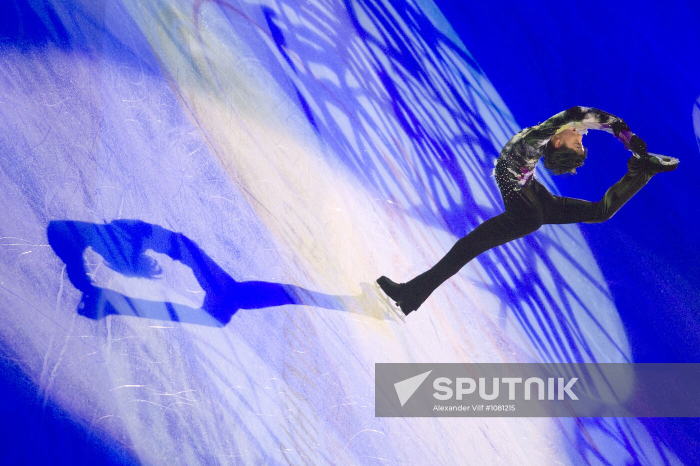 Figure skating World Cup 2012. Demonstration performances
