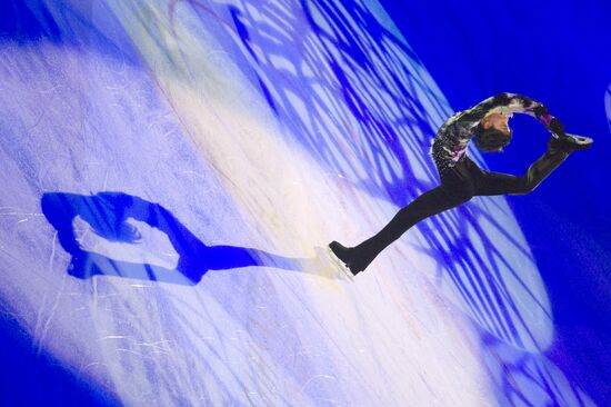 Figure skating World Cup 2012. Demonstration performances