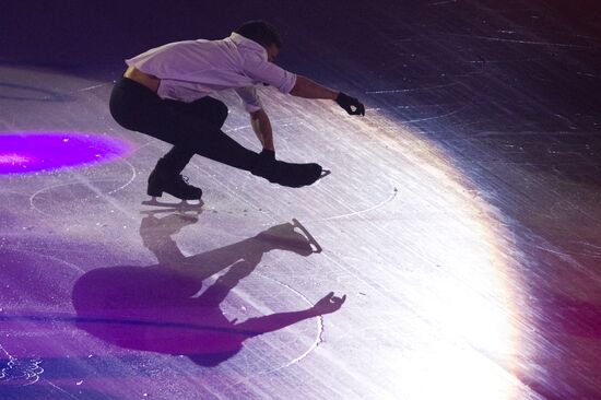 Figure skating World Cup 2012. Demonstration performances