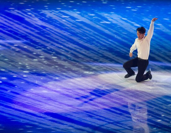 Figure skating World Cup 2012. Demonstration performances