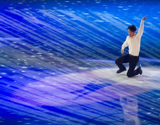 Figure skating World Cup 2012. Demonstration performances