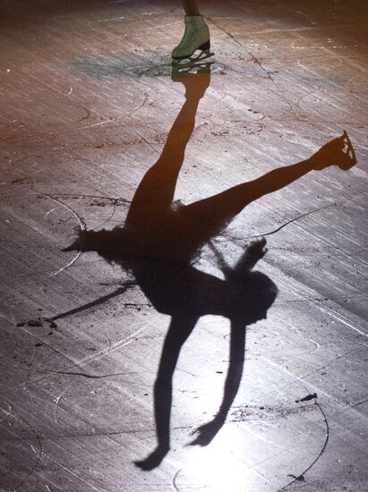 Figure skating World Cup 2012. Demonstration performances