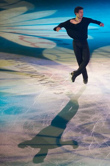 Figure skating World Cup 2012. Demonstration performances