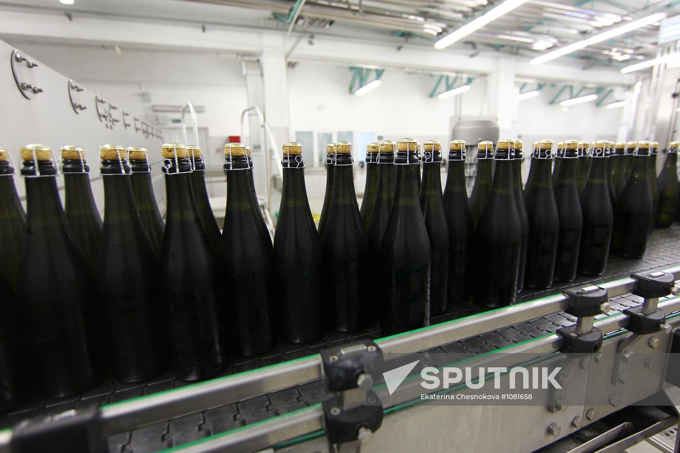 Conveyor line in "Abrau-Durso" champagne factory