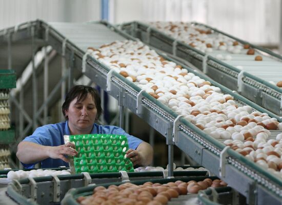 "Irtyshskaya" poultry plant in Omsk