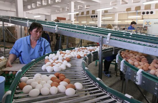 "Irtyshskaya" poultry plant in Omsk