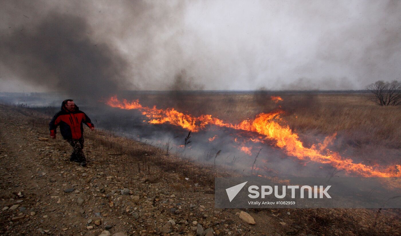 Burning dead grass in Oktyabrsky District, Primorye Territory