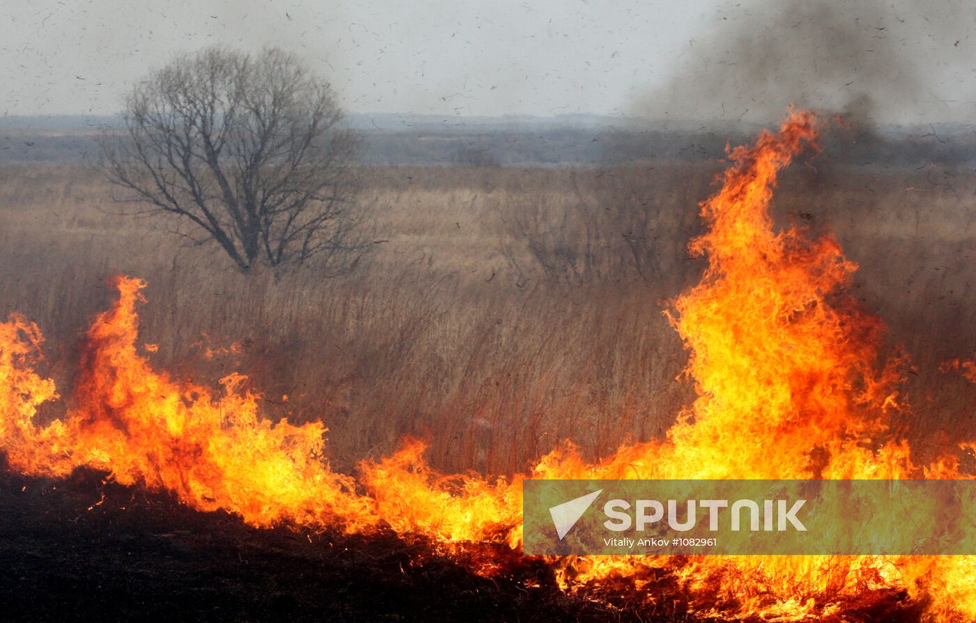 Burning dead grass in Oktyabrsky District, Primorye Territory