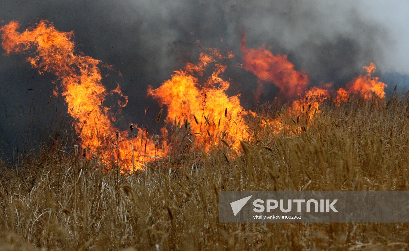 Burning dead grass in Oktyabrsky District, Primorye Territory