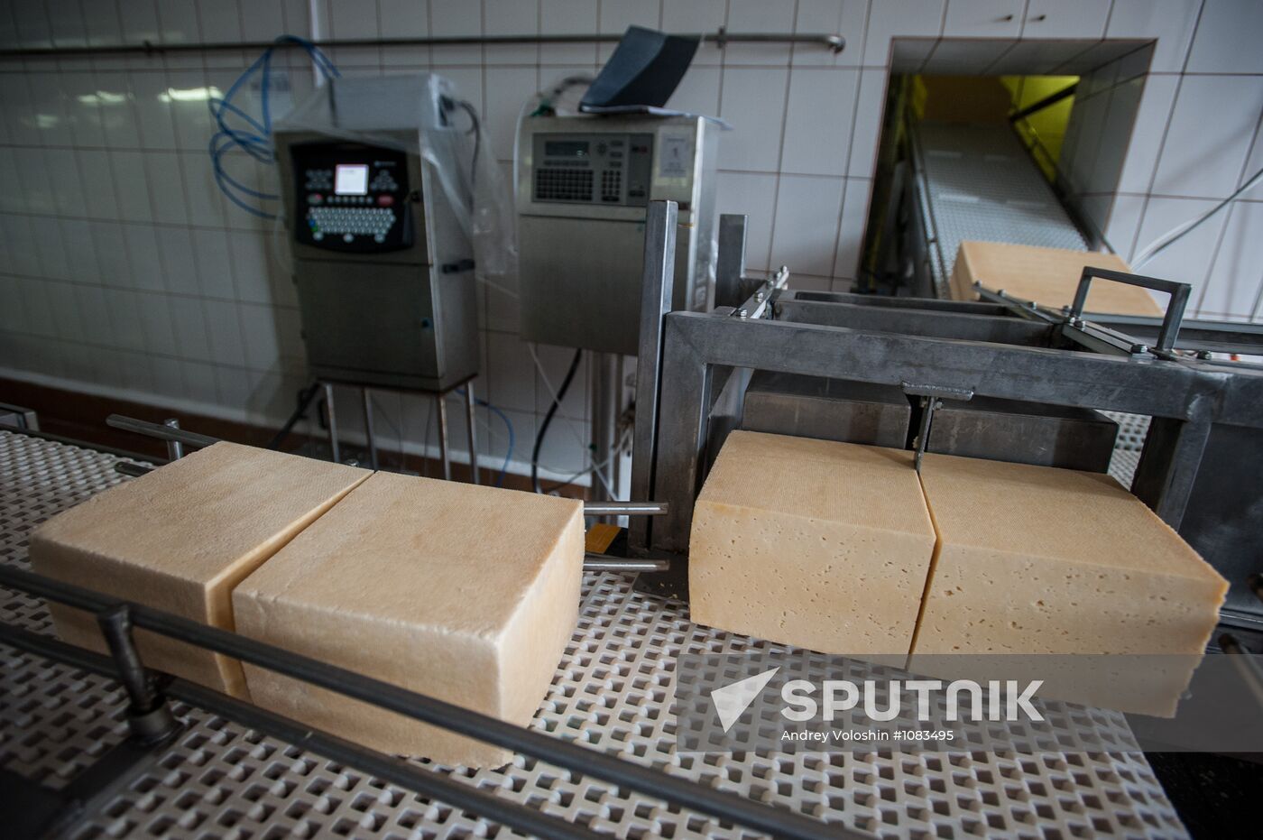 Cheese manufacturing in Ukraine