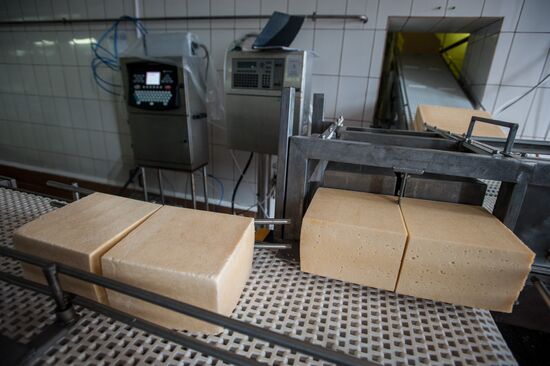 Cheese manufacturing in Ukraine