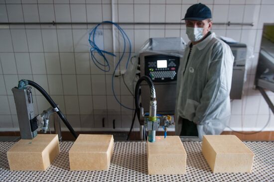 Cheese manufacturing in Ukraine
