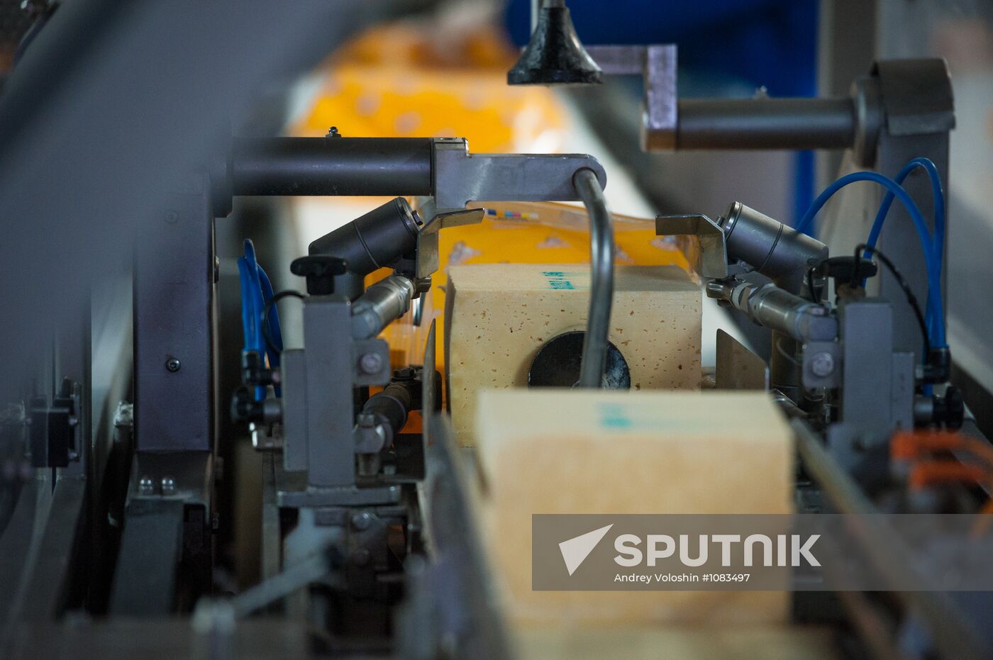Cheese manufacturing in Ukraine
