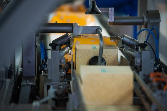 Cheese manufacturing in Ukraine