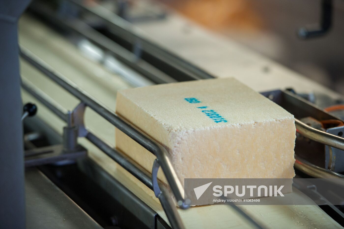Cheese manufacturing in Ukraine
