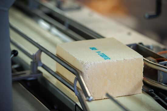 Cheese manufacturing in Ukraine