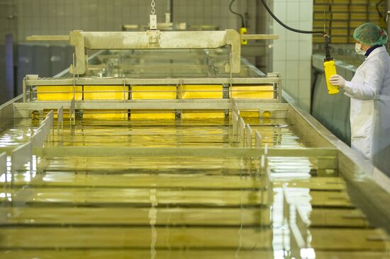 Cheese manufacturing in Ukraine