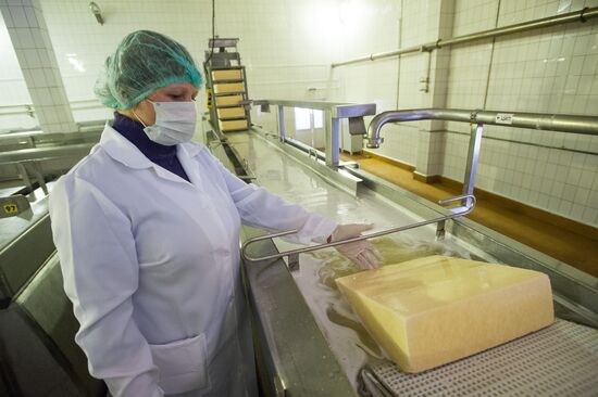 Cheese manufacturing in Ukraine