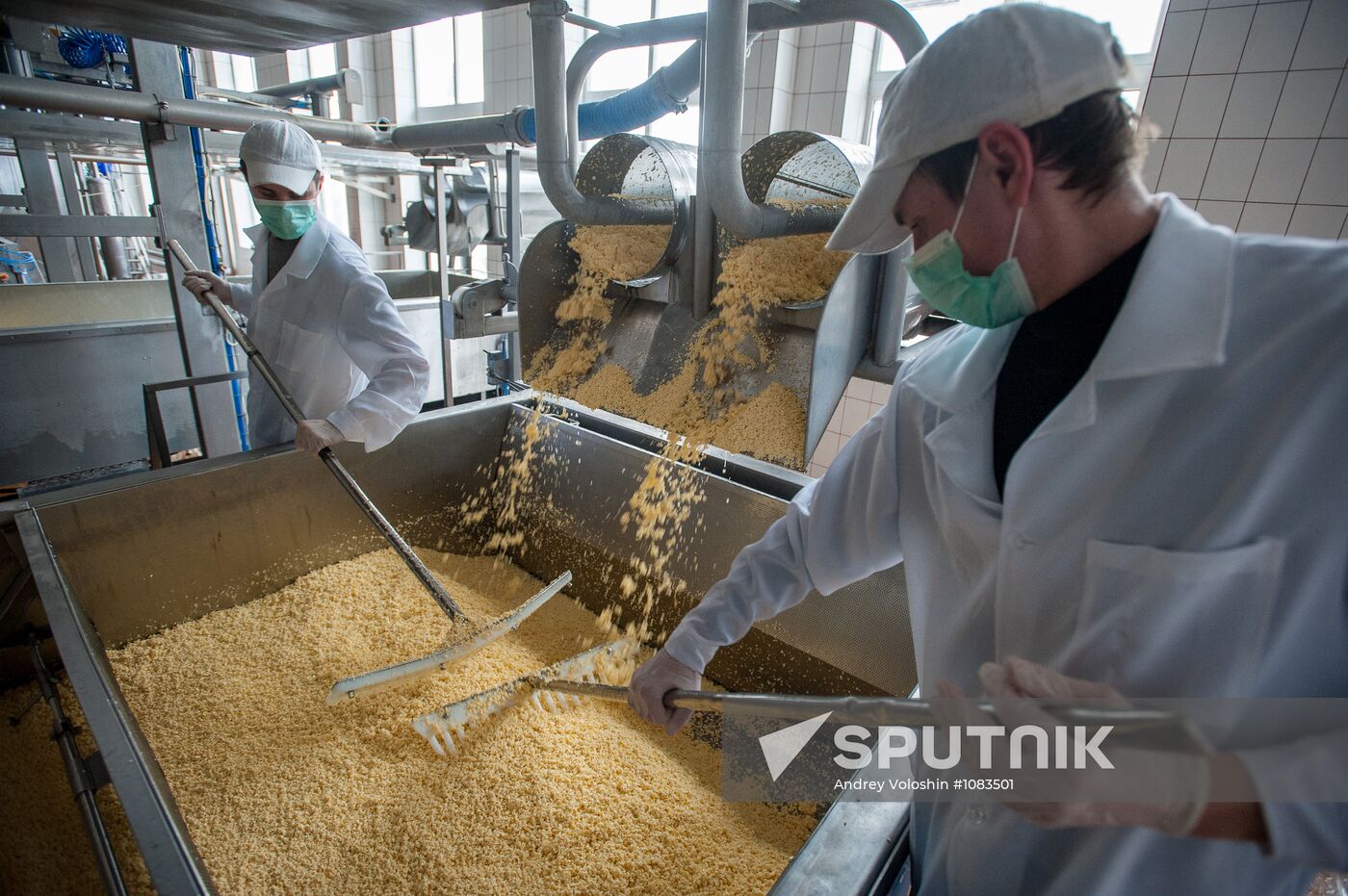 Cheese manufacturing in Ukraine
