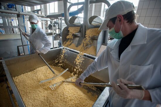 Cheese manufacturing in Ukraine