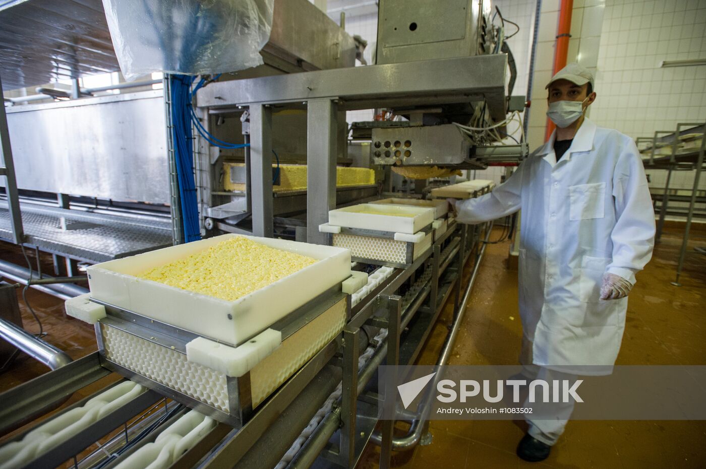 Cheese manufacturing in Ukraine