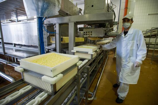 Cheese manufacturing in Ukraine