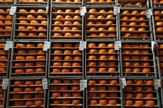 Cheese manufacturing in Ukraine