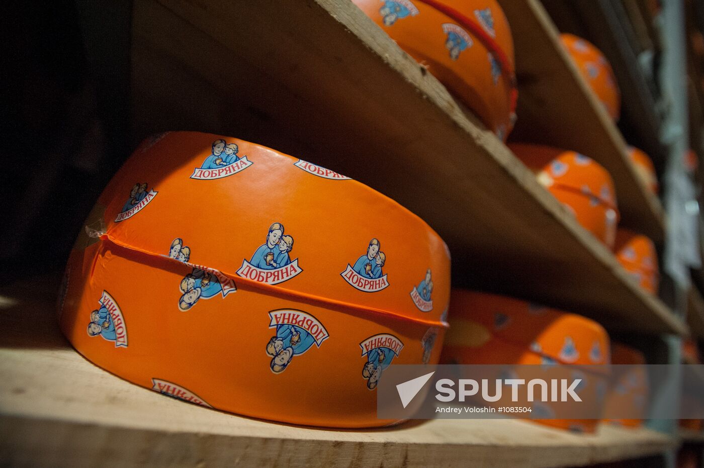 Cheese manufacturing in Ukraine