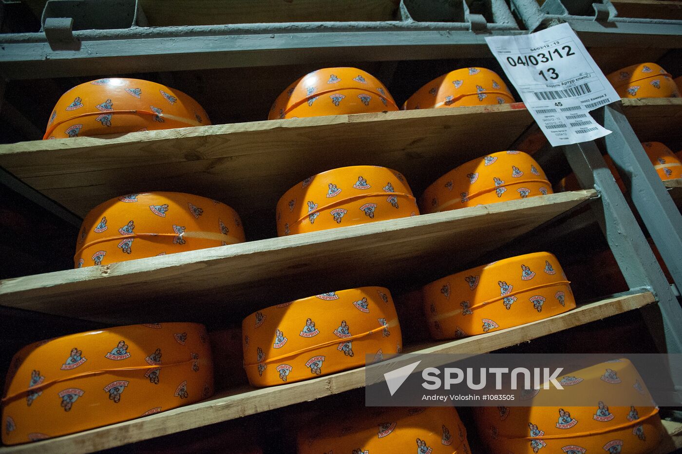 Cheese manufacturing in Ukraine