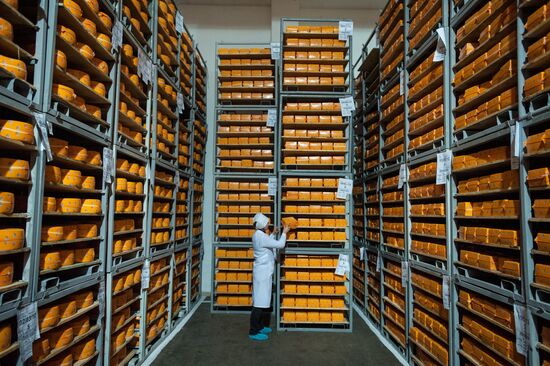 Cheese manufacturing in Ukraine