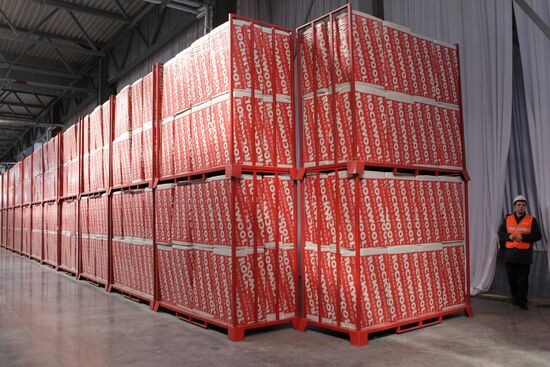 Rockwool opens plant in Alabuga