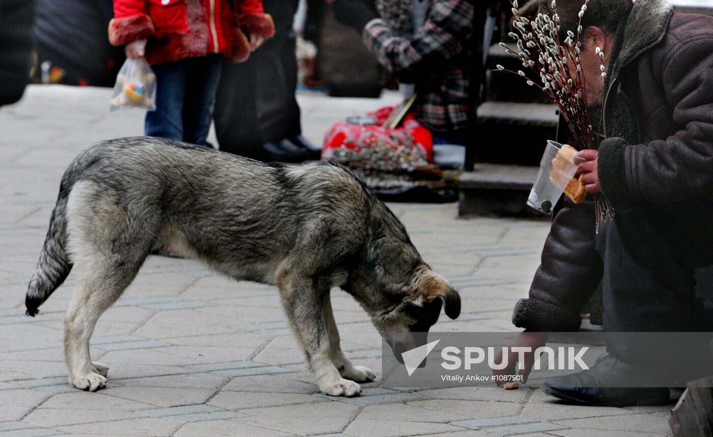 Palm Sunday celebrated in Russian regions