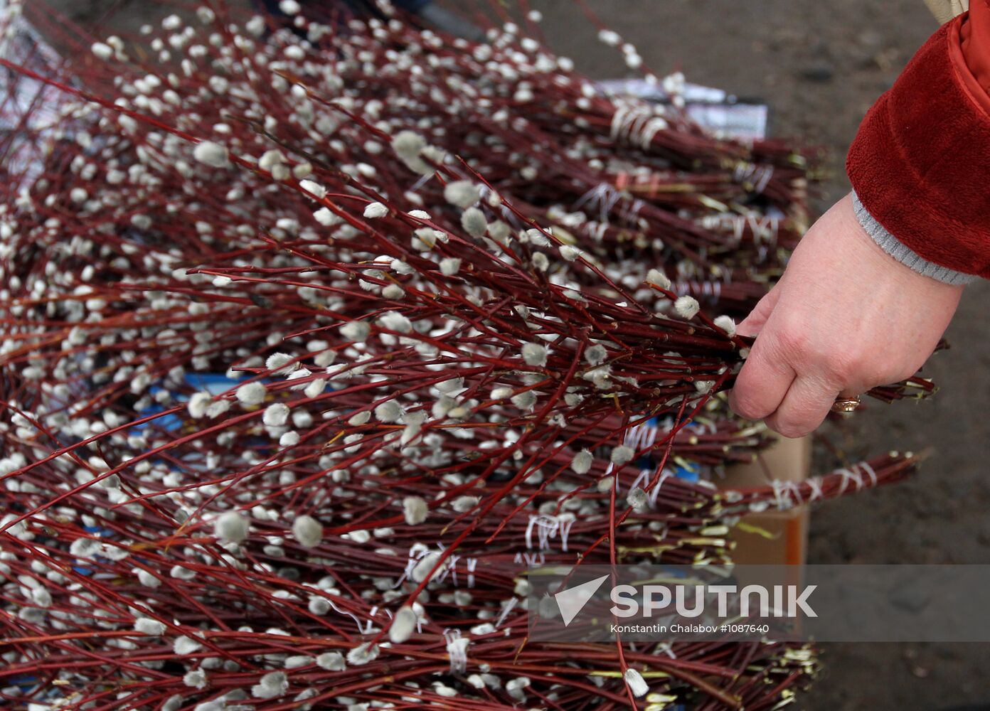 Palm Sunday celebrated in Russian regions