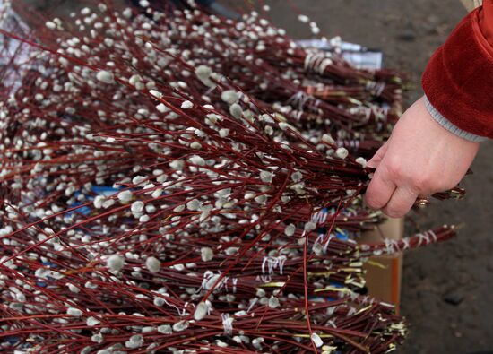 Palm Sunday celebrated in Russian regions