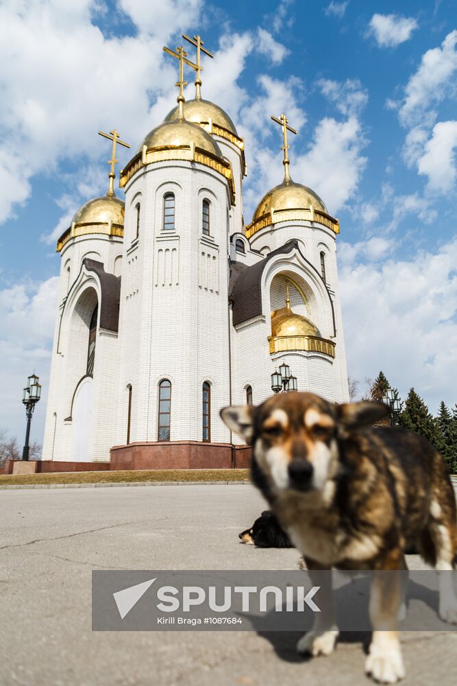 Palm Sunday celebrated in Russian regions