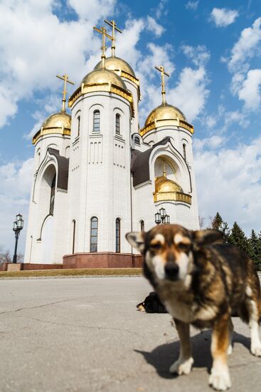Palm Sunday celebrated in Russian regions