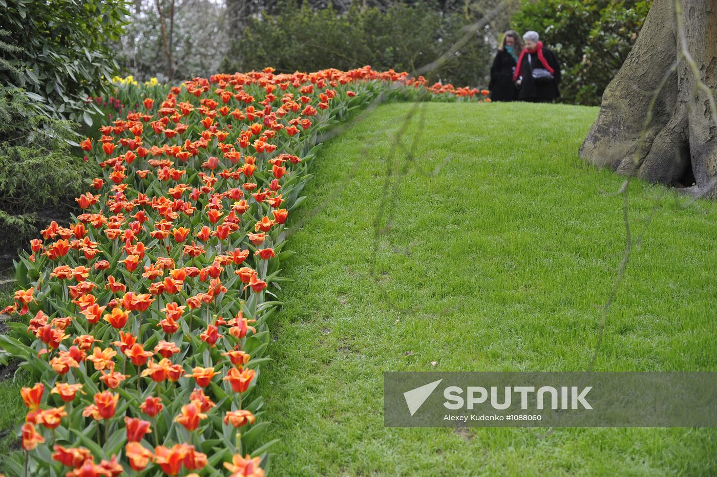 Keukenhof Flower Park in Netherlands