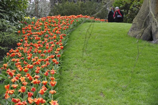 Keukenhof Flower Park in Netherlands